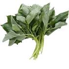 Fresh Ewedu leaves