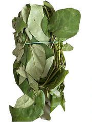 Fresh Utazi leaves
