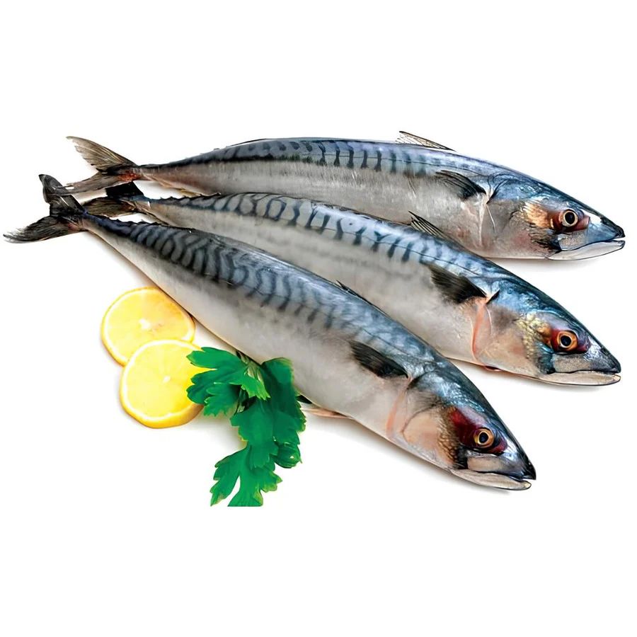 Frozen Titus fish pack 2kg