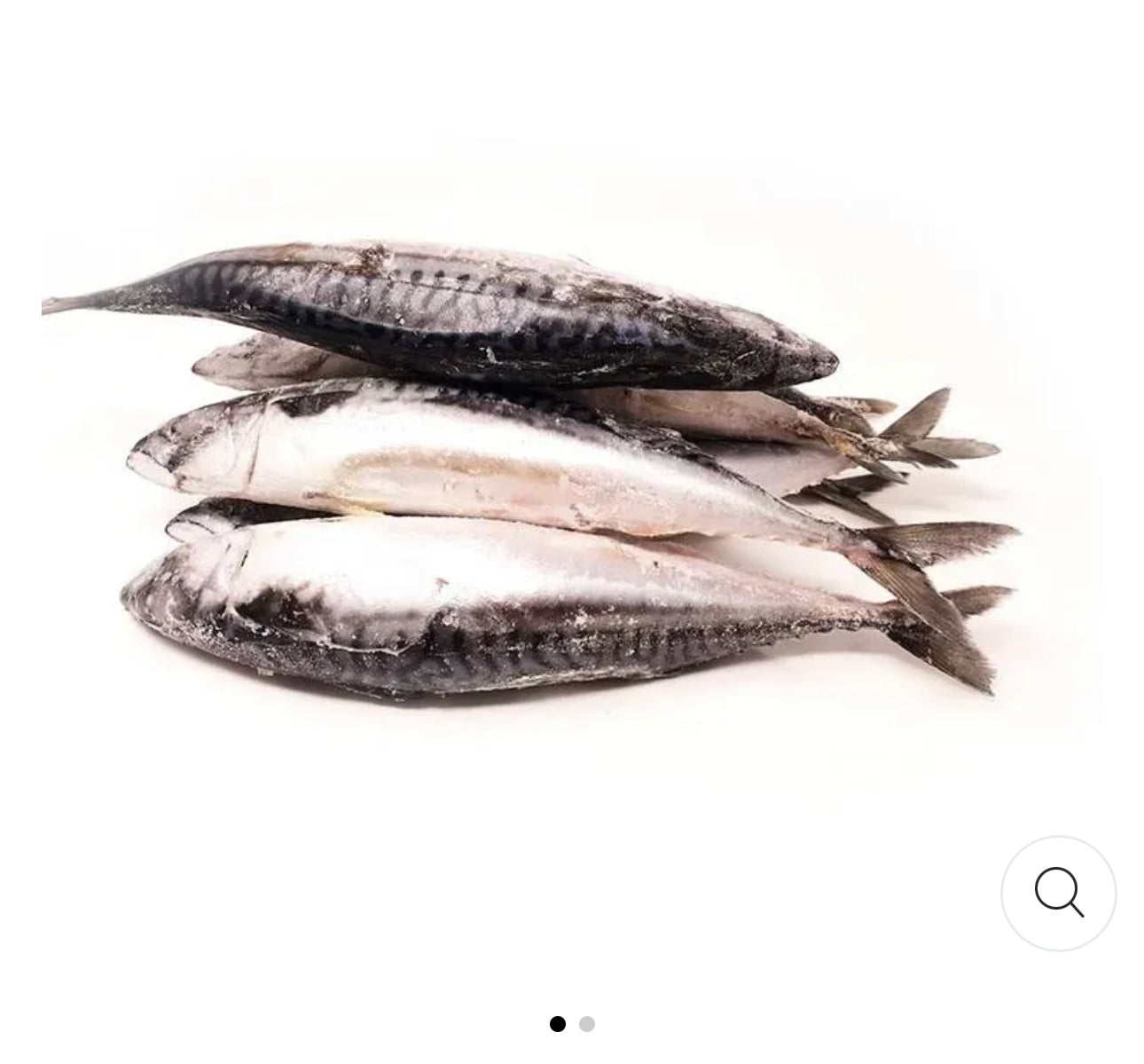 Mackerel Fish (Titus) x4
