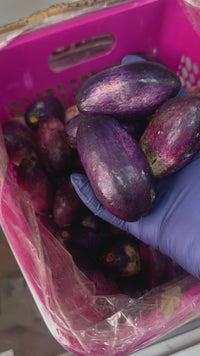 Fresh Ube (African Butter Pear)